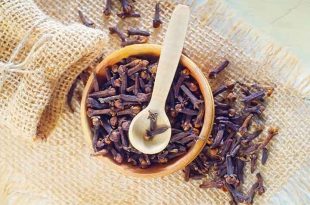 یک گیاه معطر با ۴ فایده شگفت‌انگیز
